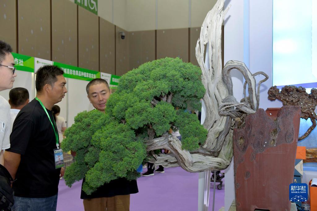 星际娱乐场